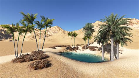 Arabian Oasis brabet